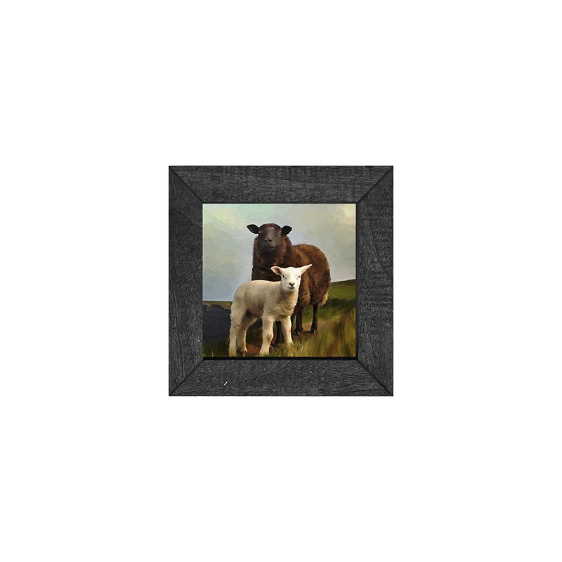 Two Sheep