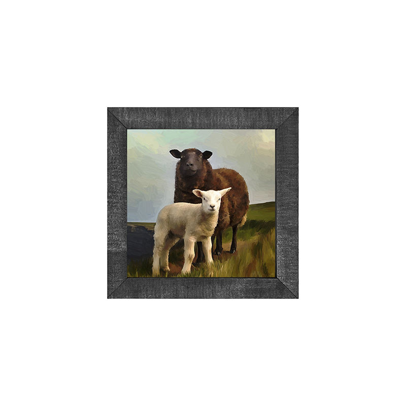 Two Sheep