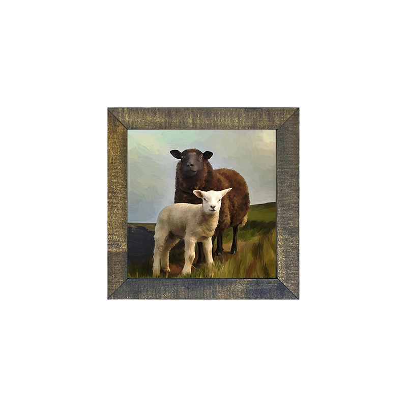 Two Sheep