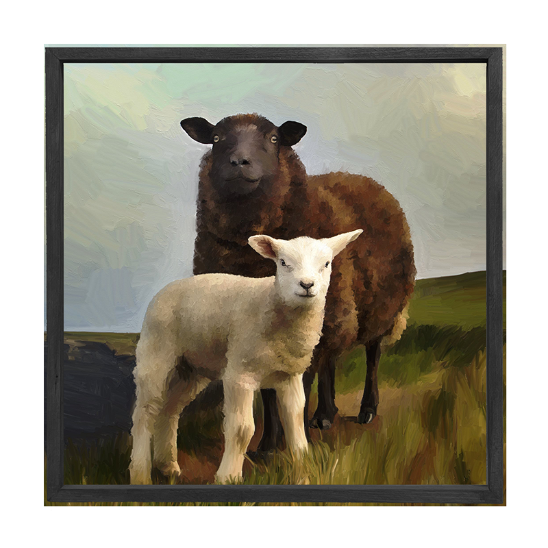 Two Sheep