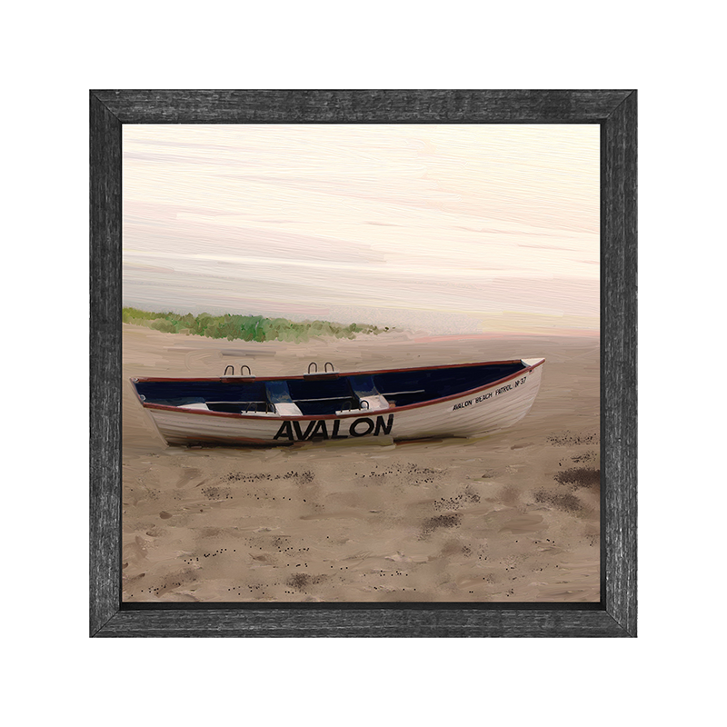 Avalon life guard boat