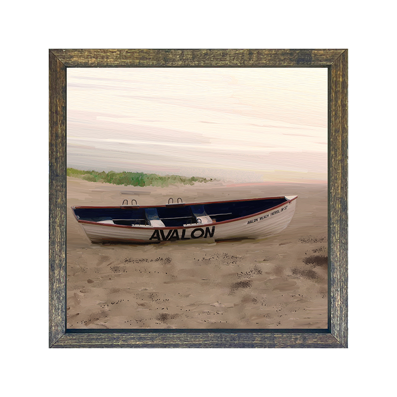 Avalon life guard boat