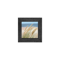 Gallery Frame