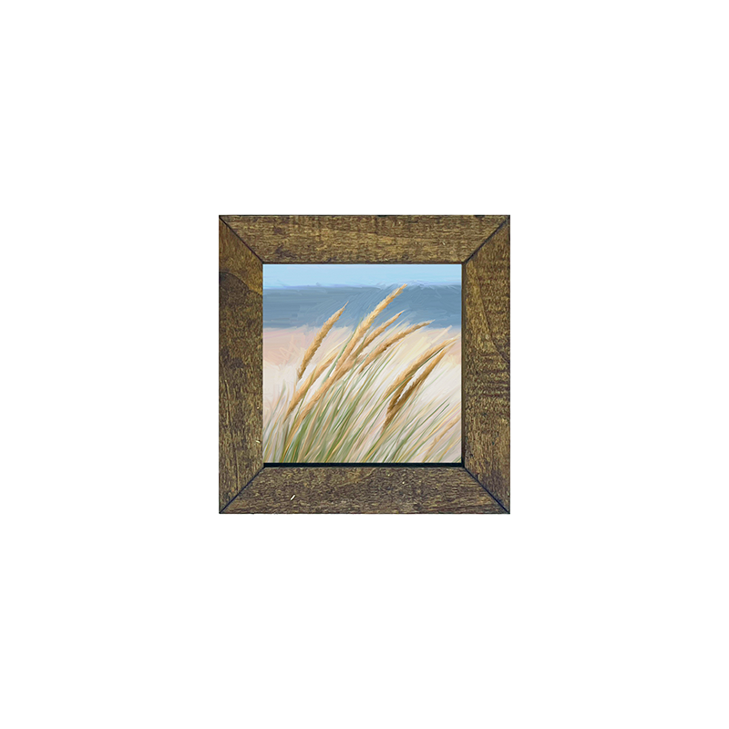 Beach Grass