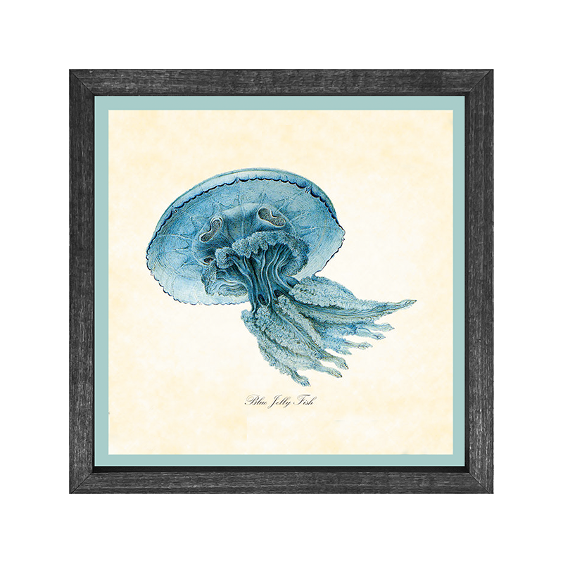 Jelly Fish - Blue