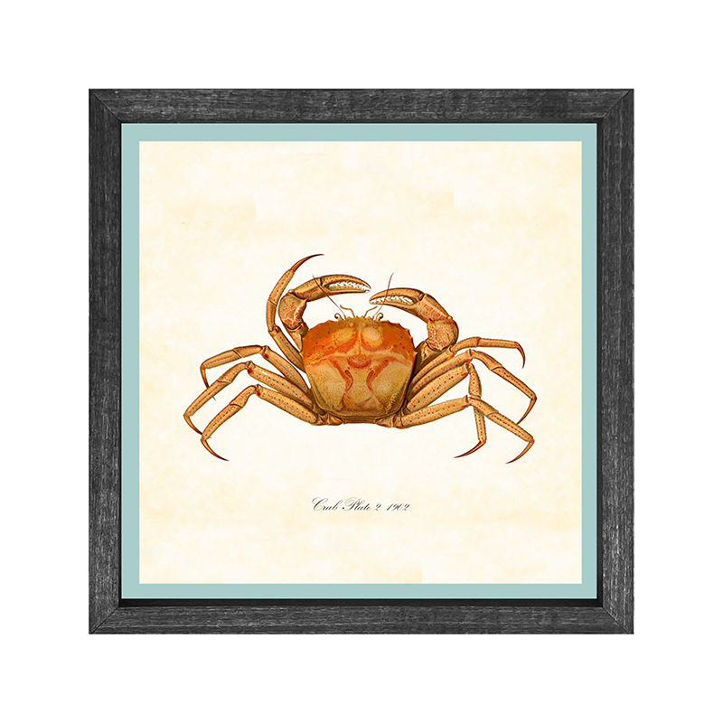 Crab - Orange