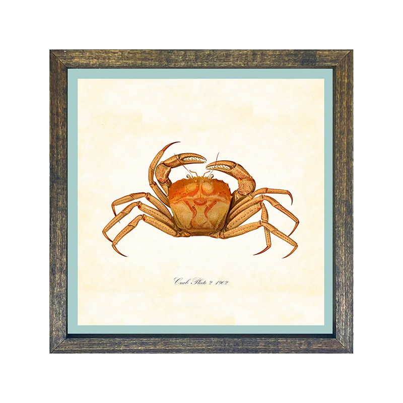Crab - Orange