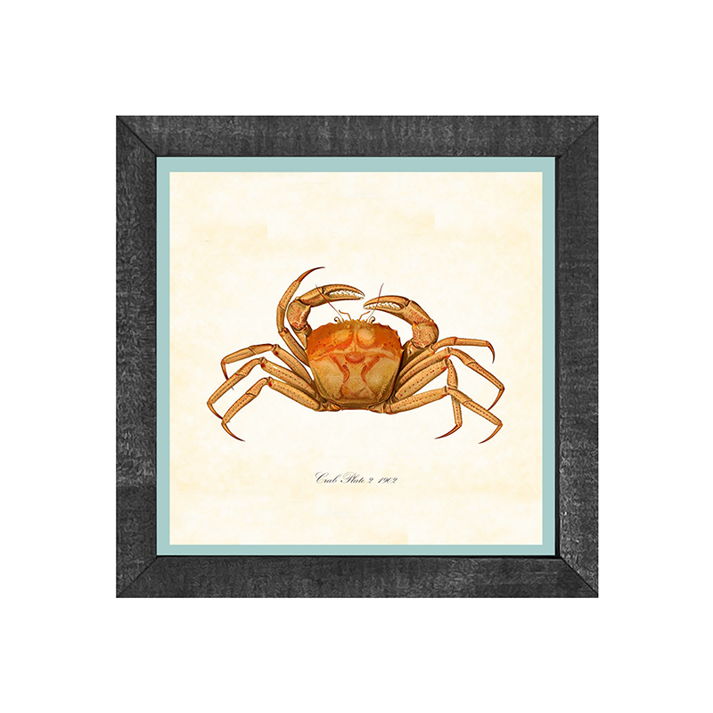 Crab - Orange