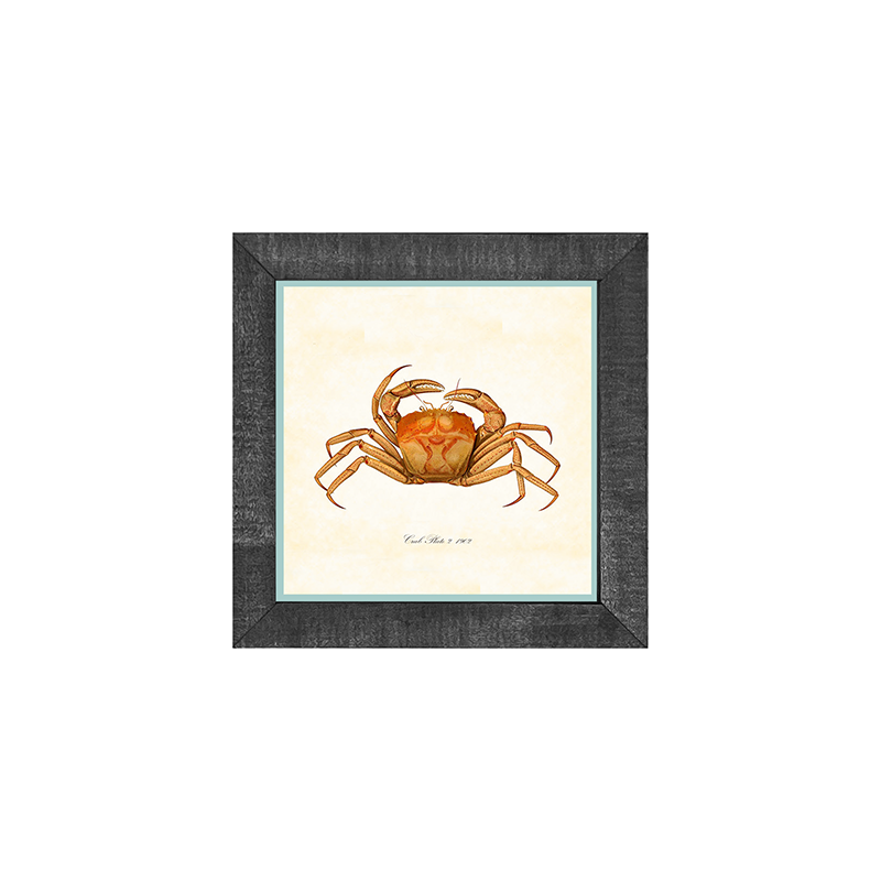 Crab - Orange