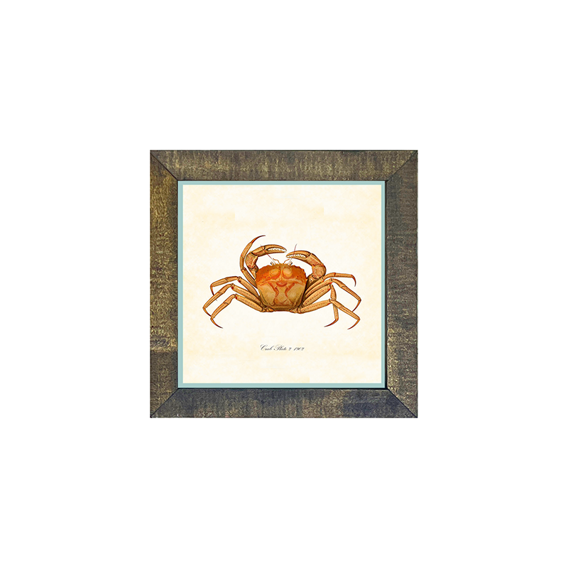 Crab - Orange