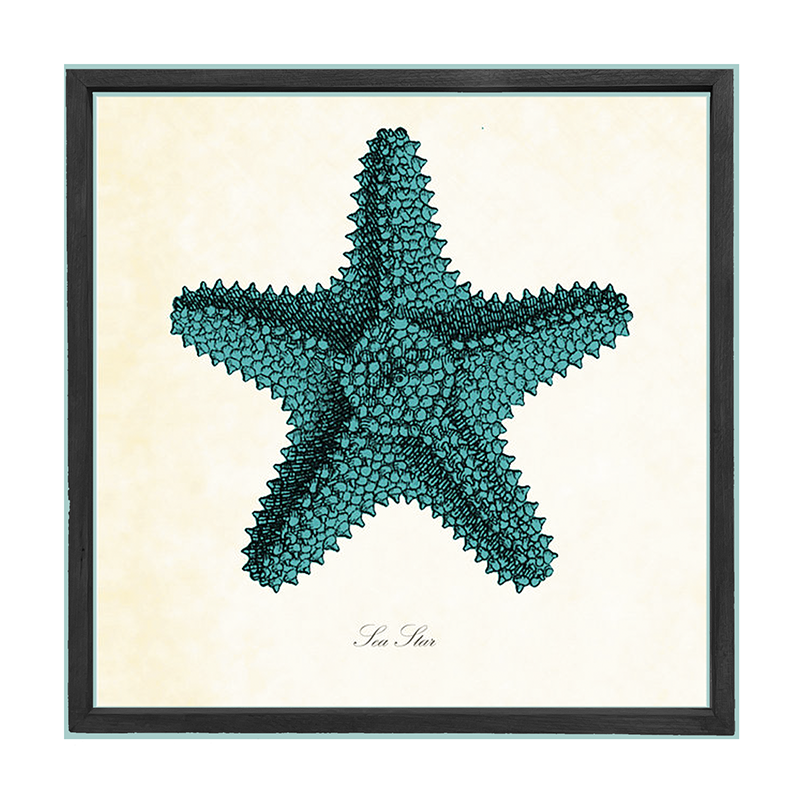 Starfish