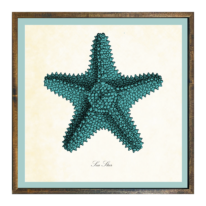 Starfish