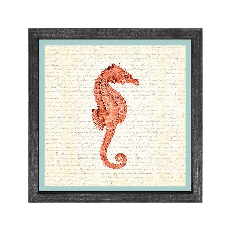 Sea Horse - Coral
