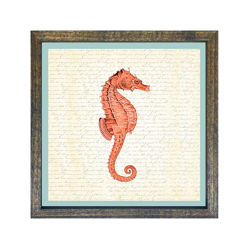Sea Horse - Coral