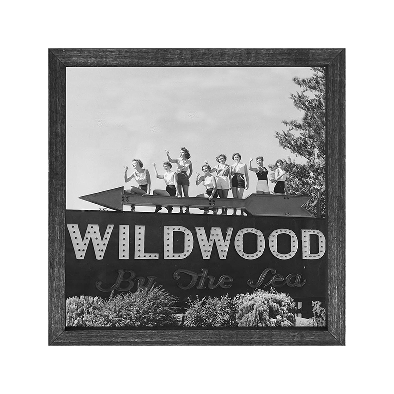 Wildwood by the sea