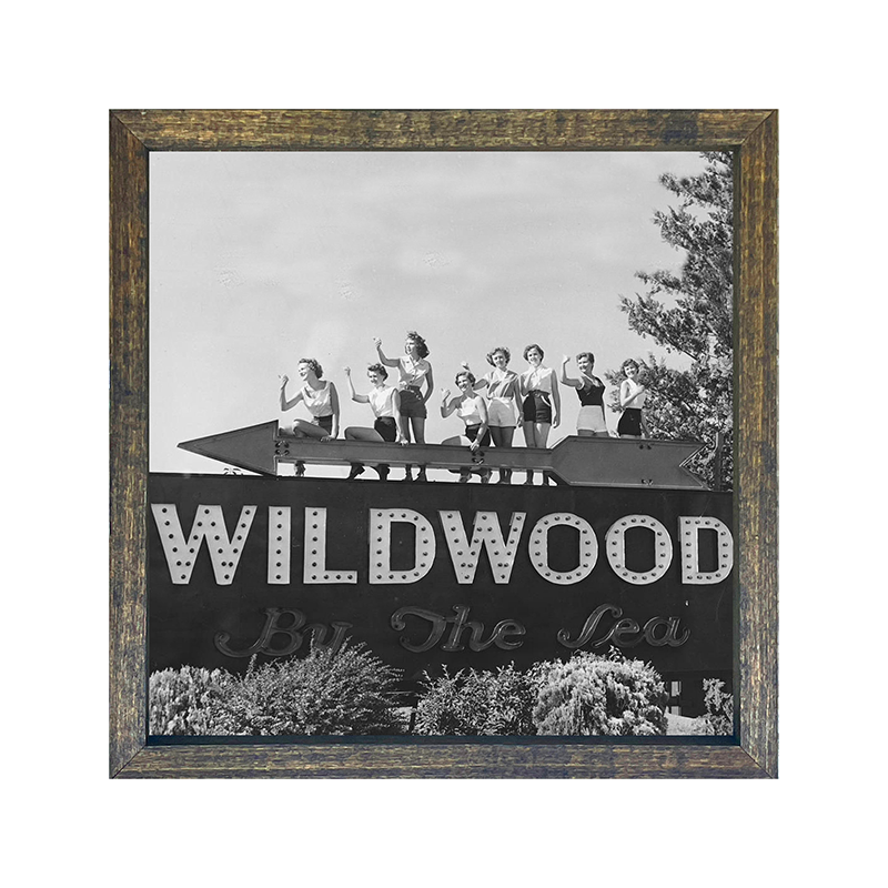 Wildwood by the sea