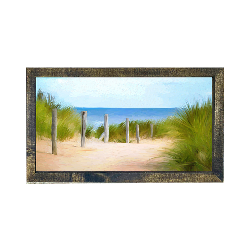 Dunes with posts