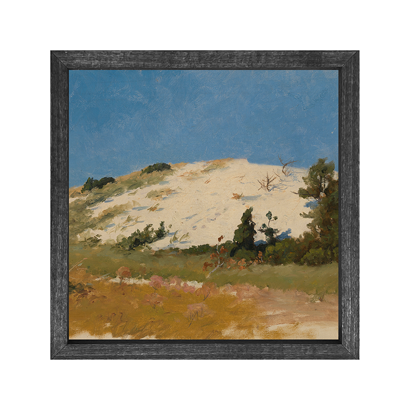 Vintage Beach Dune