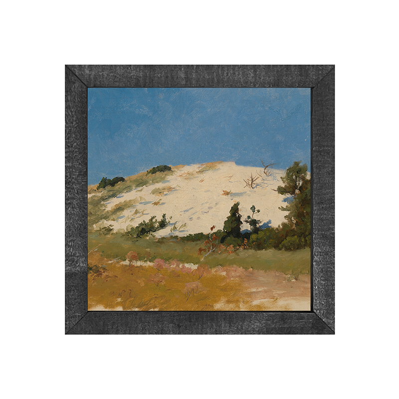 Vintage Beach Dune