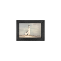 Gallery Frame
