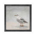 Gallery Frame