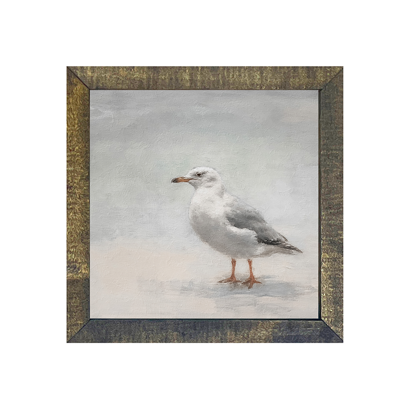 Seagull