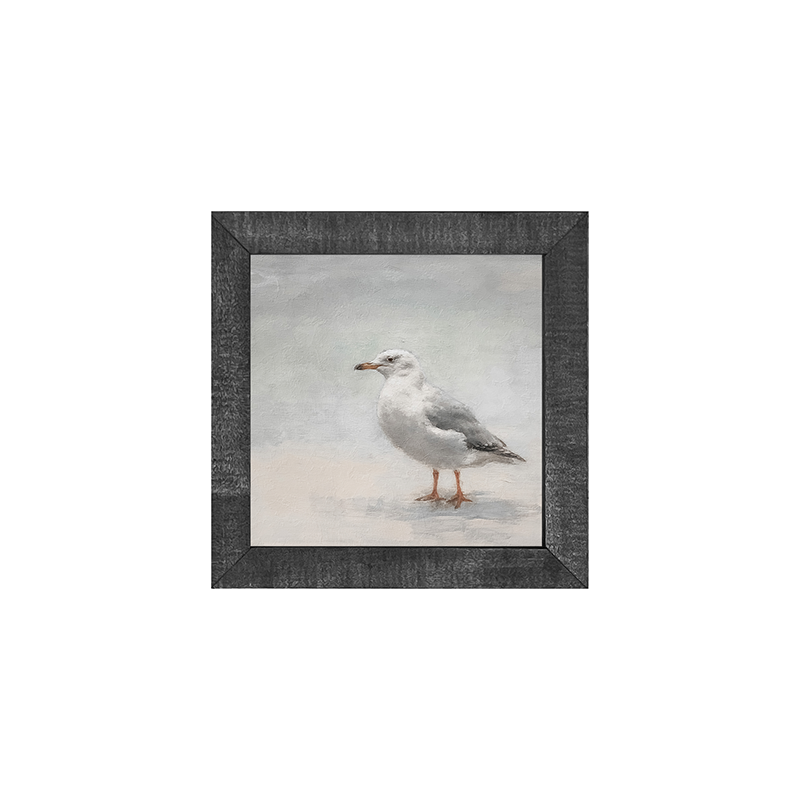 Seagull