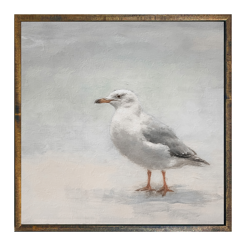 Seagull
