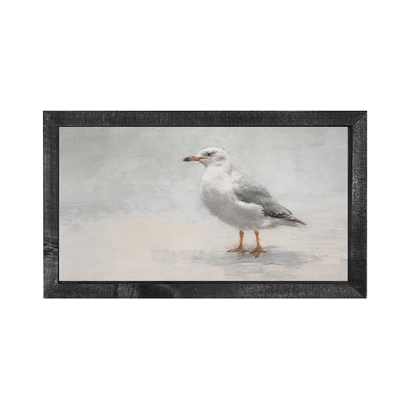 Seagull-Horizontal