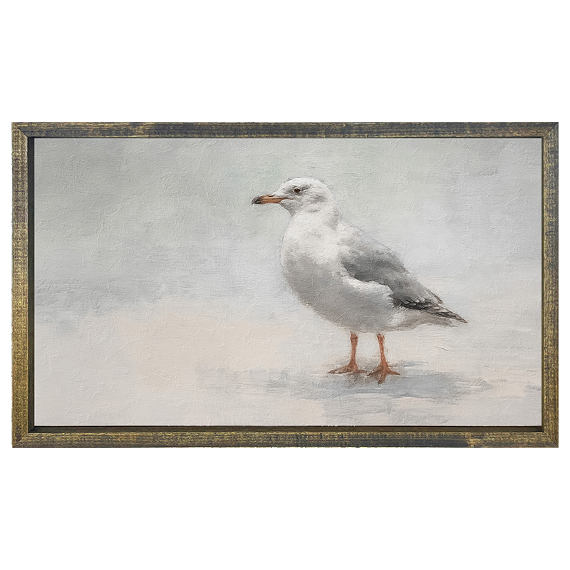 Seagull-Horizontal