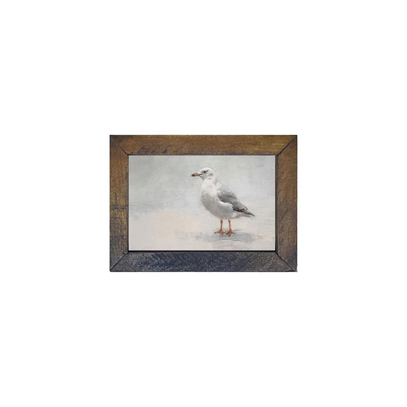 Seagull-Horizontal