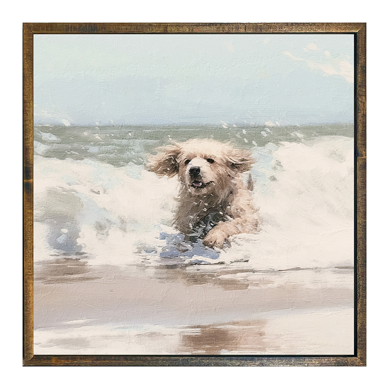 Dog running in water