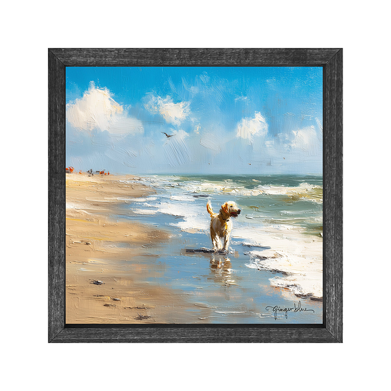Dog at the Beach