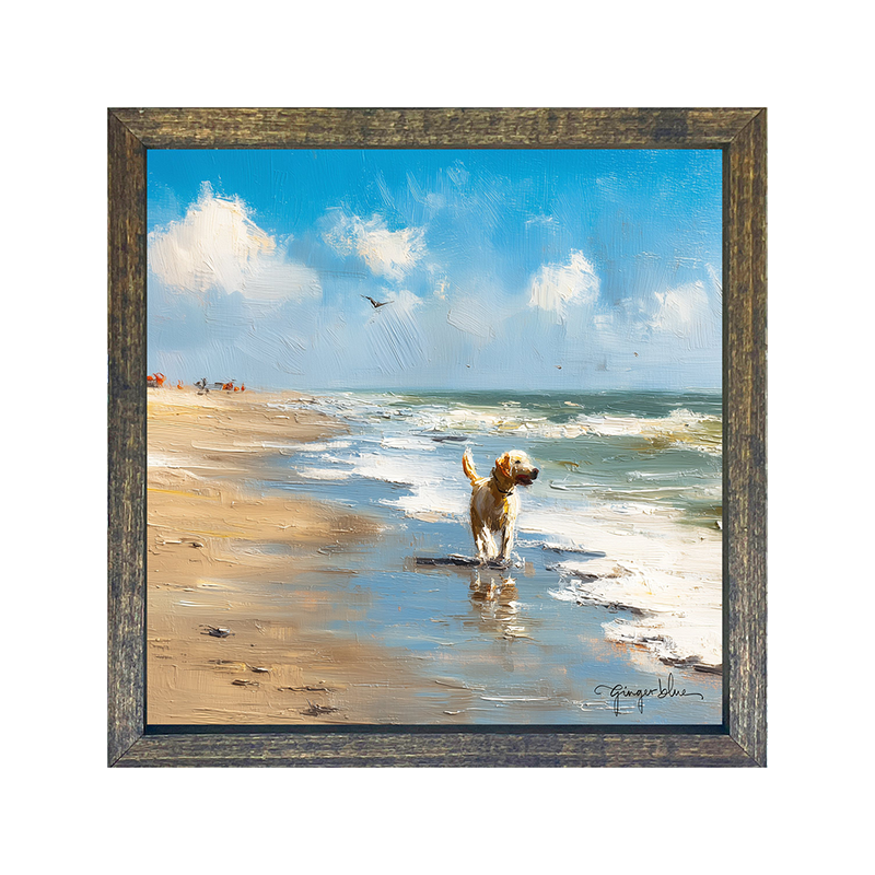 Dog at the Beach