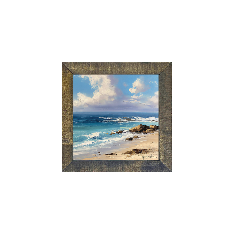 Beach with Rocks