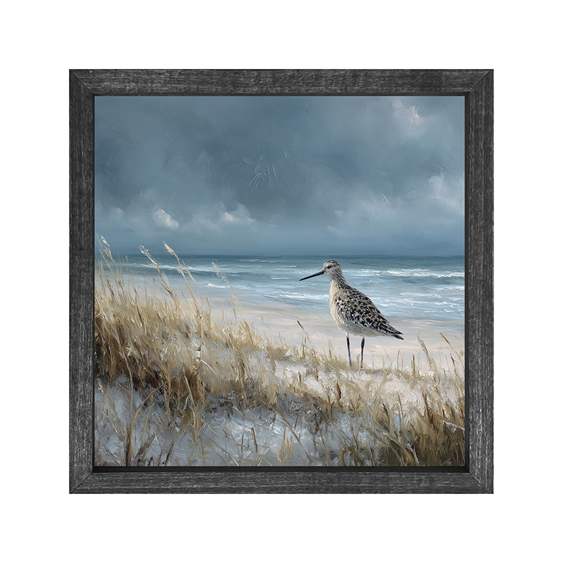 Coastal Island - Bird on Beach