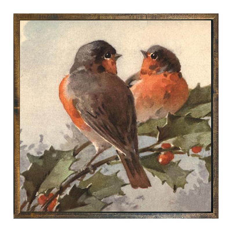 Two Robins