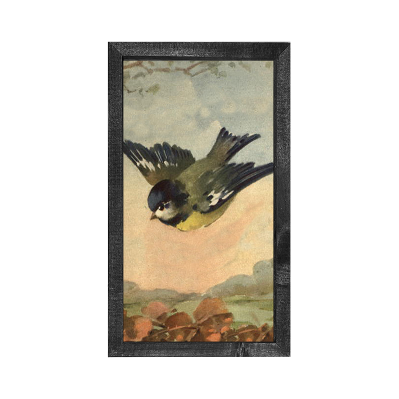 Flying Bluejay