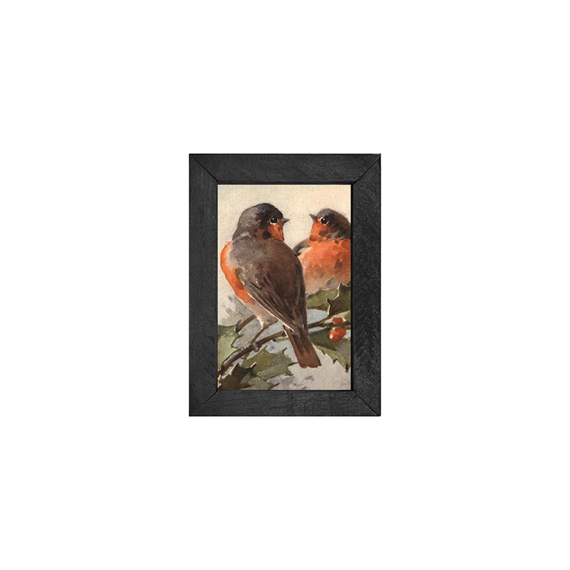 Two Robins