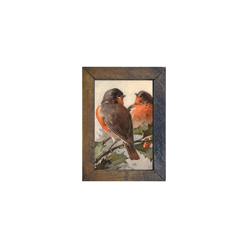 Two Robins