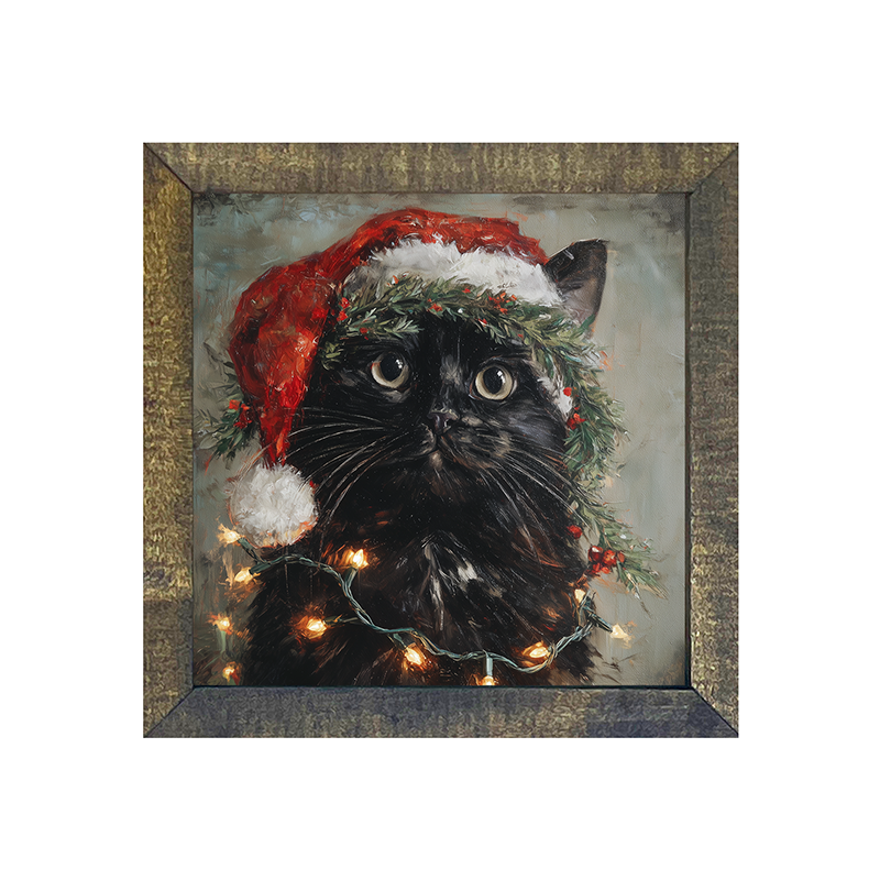 Christmas Lights with Black Cat