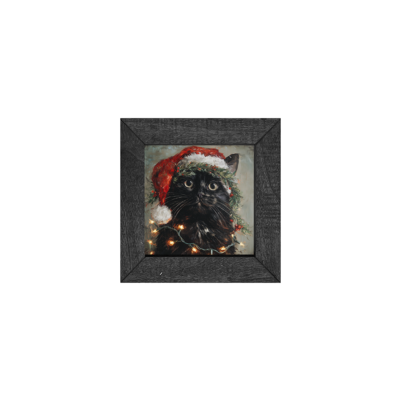 Christmas Lights with Black Cat