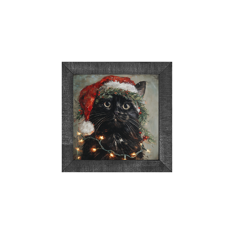 Christmas Lights with Black Cat
