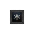 Gallery Frame