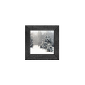 Gallery Frame