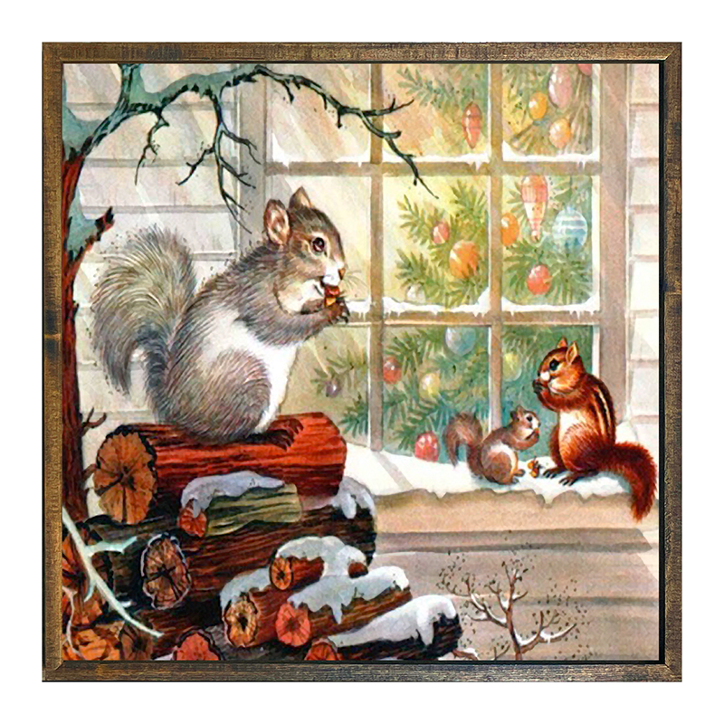 Squirrel at window