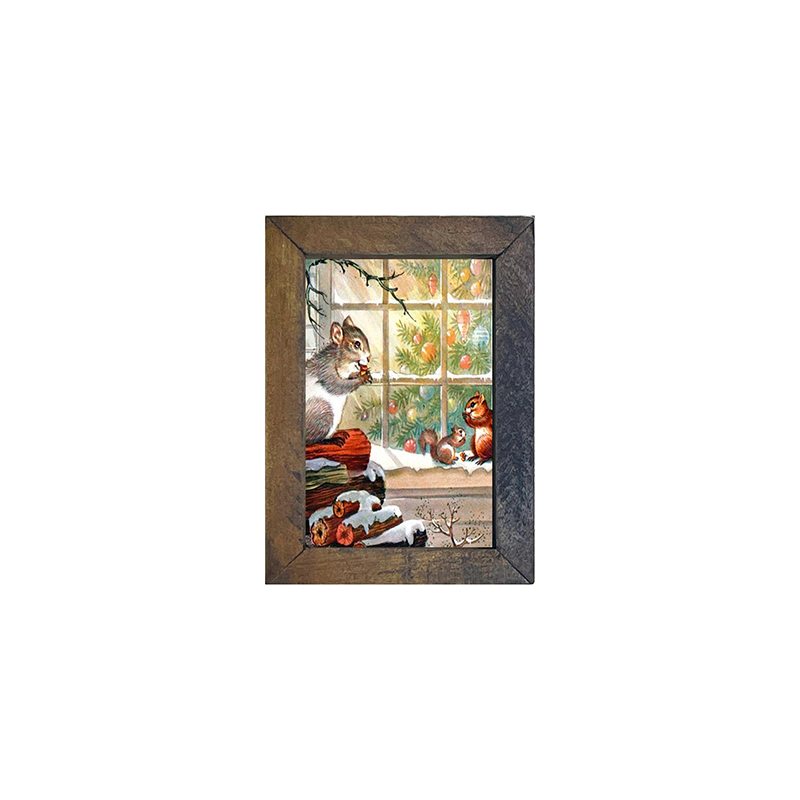 Squirrel at window