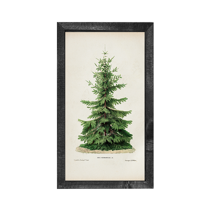 Vintage Tree