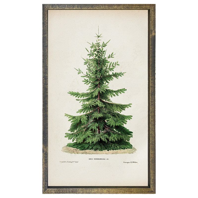Vintage Tree