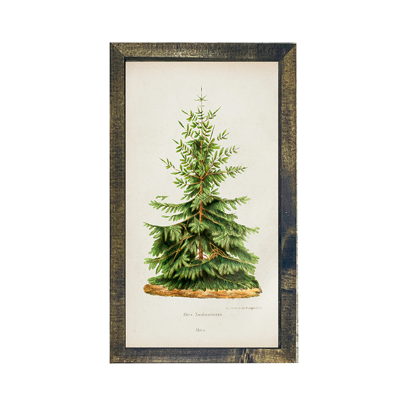 Vintage Tree- 2